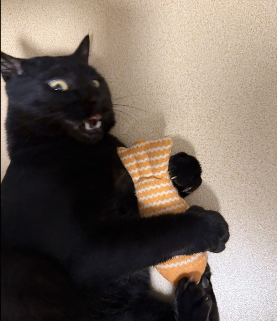 Guangming recuperado y saludable